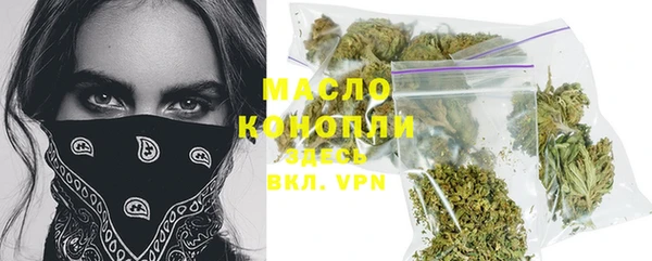 мдпв Рославль